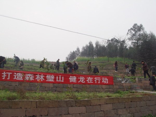 健龙镇位于重庆市璧山区南部,地势东高西低.