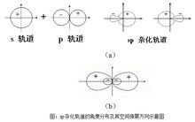 杂化轨道理论