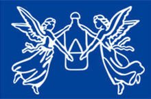 双飞人制药(中国)有限公司