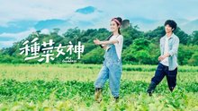 种菜女神