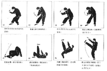 醉八仙拳