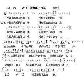 透过开满鲜花的月亮