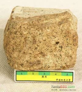 二长斑岩 免费编辑 添加义项名