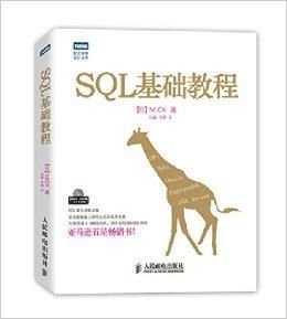 图灵程序设计丛书:SQL基础教程