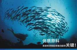 鱼胶原蛋白肽_360百科