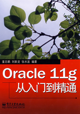 Oracle 11g从入门到精通
