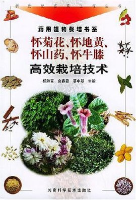 怀菊花怀地黄怀山药怀牛膝高效栽培技术