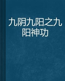 九阴九阳之九阳神功