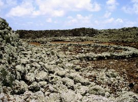 摩津尼神庙州立纪念碑