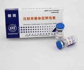 促卵泡成熟素
