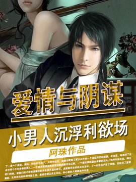 爱情与阴谋:小男人沉浮利欲场