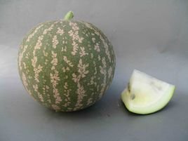药西瓜