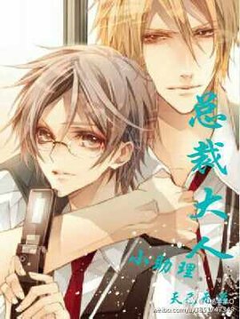 总裁大人小助理