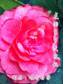 龙游天下之宿敌