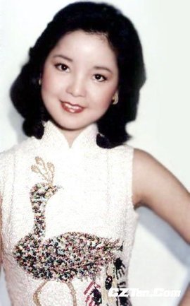 邓丽君歌曲精选