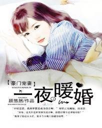 豪门宠妻:一夜暖婚