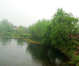 光山县泼陂河镇第一中学_360百科