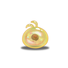 寄生体3号冈布奥