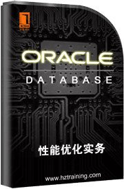 Oracle数据库性能优化实务