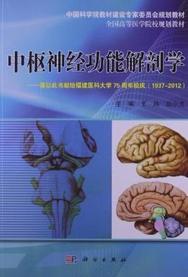 中枢神经功能解剖学