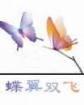 蝶翼双飞