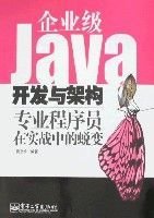 企业级JAVA开发与架构专业程序员在实战中的