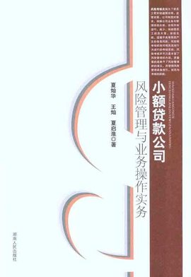 小额贷款风险管理与业务操作实务