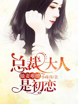 傲妻难撩:总裁大人是初恋