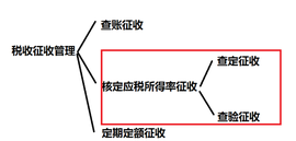 应税所得率