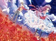 吸血鬼殿下的专属小猫咪