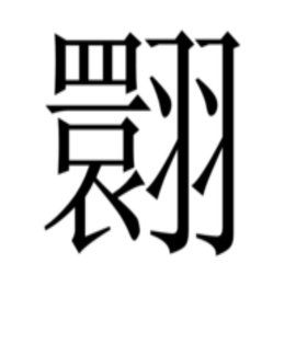 翾