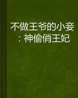 不做王爷的小妾:神偷俏王妃