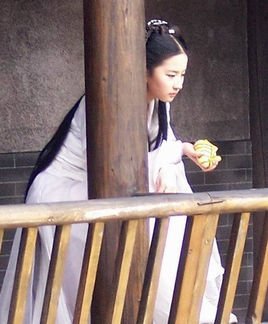 三国之偷香窃玉