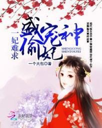 一妃难求:盛宠神偷妃