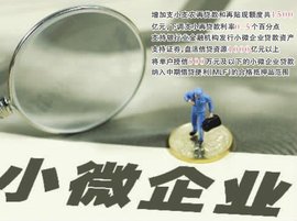 关于进一步深化小微企业金融服务的意见