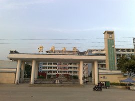 聚焦惠东医疗：守护健康的力量