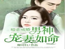 暗恋成婚:男神宠妻如命