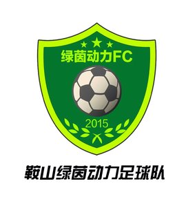 鞍山绿茵动力足球队