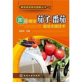 图说棚室茄子,番茄栽培关键技术