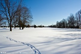 白马湖之冬_360百科