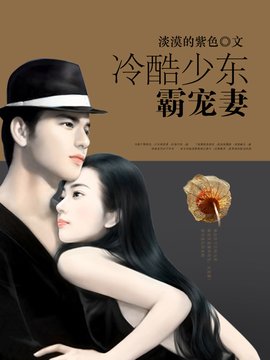 冷酷少东霸宠妻