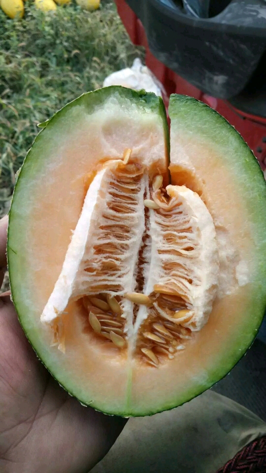 哈密瓜怎么切好看摆小果盘 t0111eb410c792cbff6.jpg