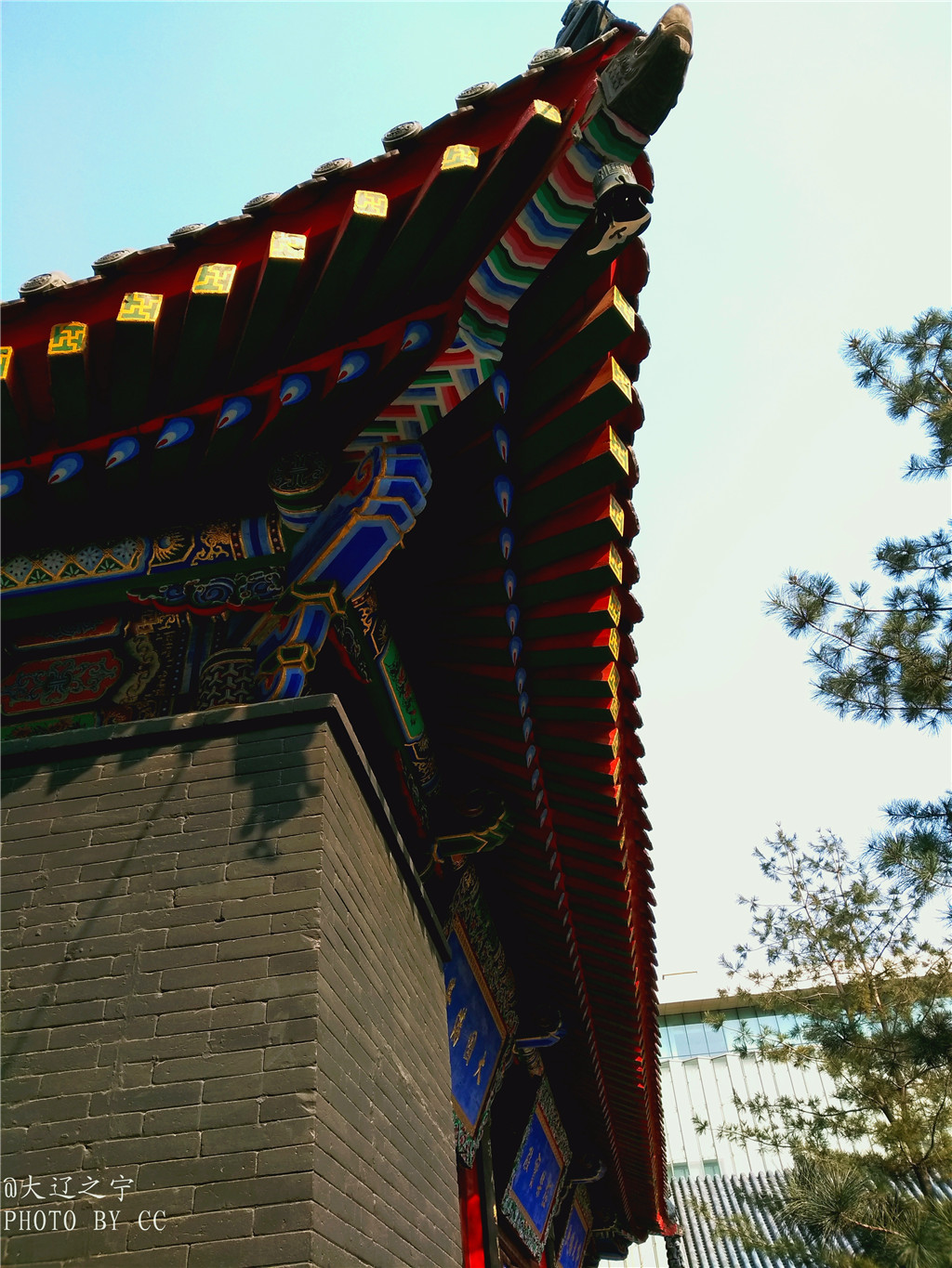 t0124ecc4ae5d40a33b.jpg