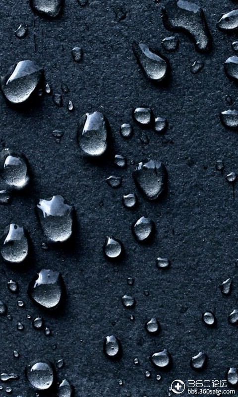 t01252c543c5ec56612.jpg