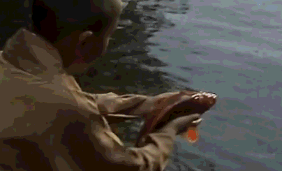 小唐僧砍柴回山,看到大汉手里拎着一只红鲤鱼,慈悲心大发,用一小捆少