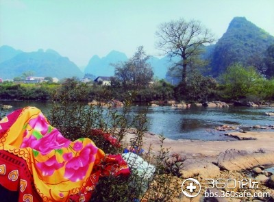 永福县百寿镇经济总量_桂林永福县百寿镇村委