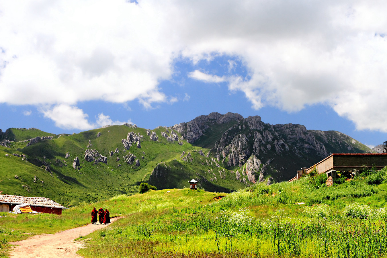 甘南风景