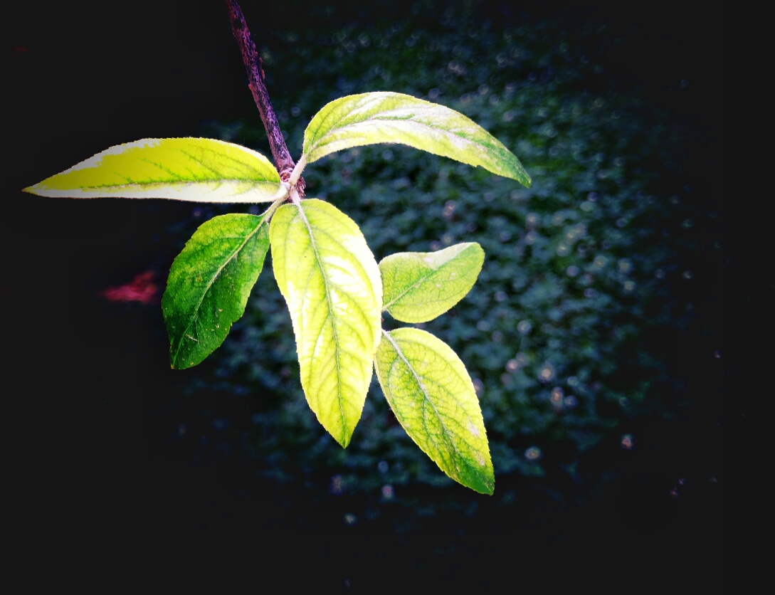 t013c2e681aeb094f1f.jpg