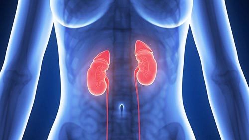 狼疮肾炎_360百科