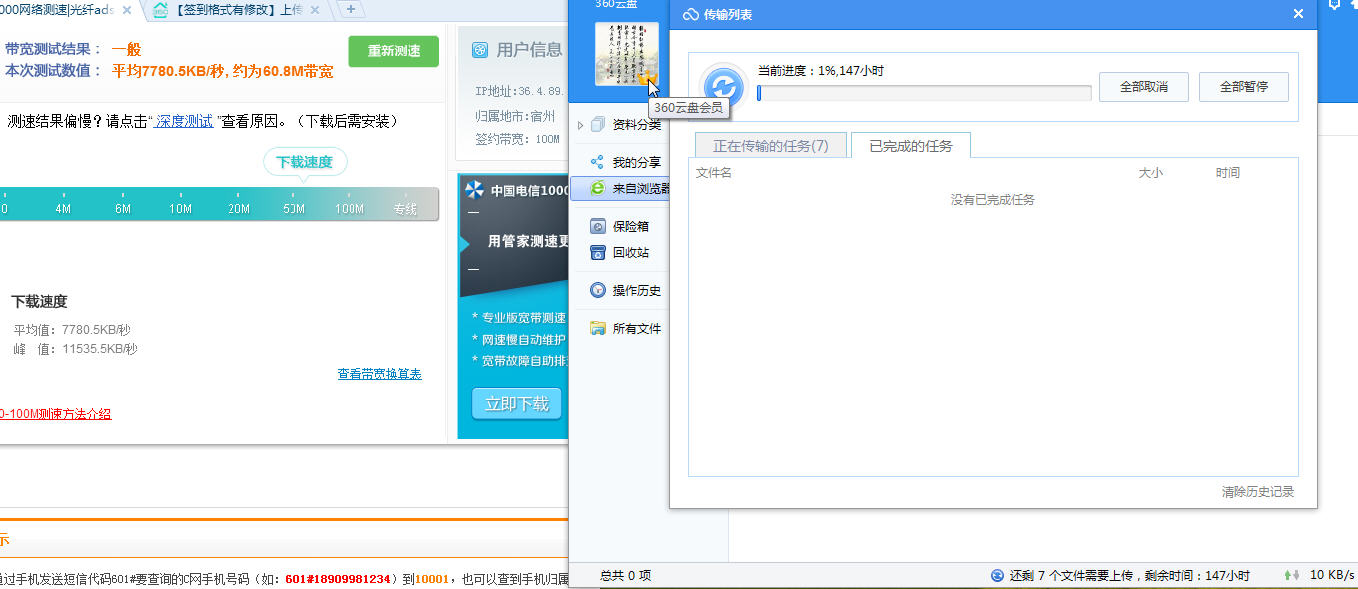 100万元观赏鸽图片_上/下行速率4m/100m_4m带宽上行和下行速度